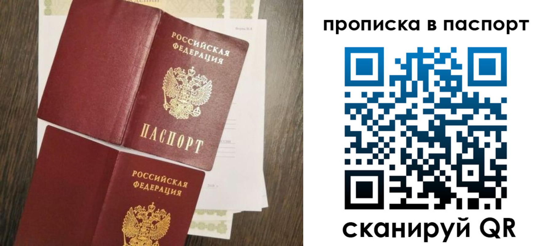 прописка гарантия в Бийске