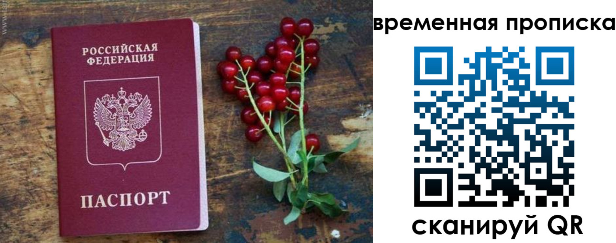 временная регистрация гарантия в Бийске
